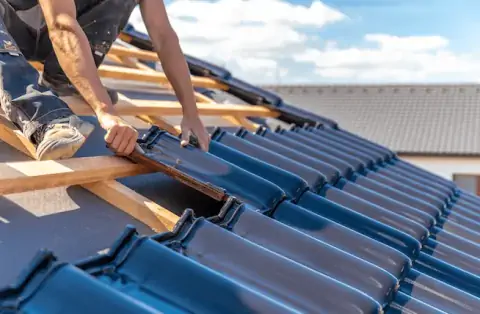 Couverture - La Palme